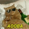 Melhores do Momento 10