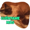 CUÉNTAME
MAS