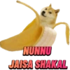 NUNNU JAISA SHAKAL