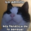 Lo admito
soy fanática de
sensual
@Harley Stickers
lo