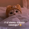 Gatitos Anti-depresivos Vol.1 12