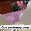 Que pasó mugrosas