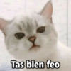Payi
Tas bien feo