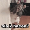 @Harley Stickers
ola k hacen?