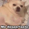 Memes pa' hablar XD 2 20
