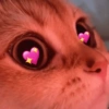 Manda pro seu mozão 💖 8