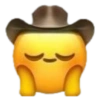 Memes 29