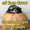 só faço favor
se mandar pix
antecipado