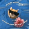 Cuidate mucho porfa si no con quién me voy a casar? @igmailof