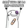 Flork Memes😮‍💨🖤 7