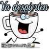 Ya despierten C +S GRILLØVS+E