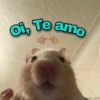 MEMES E MAIS MEMES🤡 8