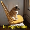 KKK MEMES 15