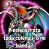 Pinche errata toda culera si o no banda?