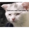 hold on a sec i just woke up