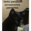 tenho pensado pensamentos pensantes