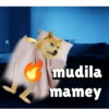 mudila mamey