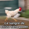 paraguayita_01
La sangre de
Cristo tiene poder
