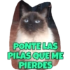 PONTE LAS
PILAS QUE ME
PIERDES