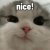 nice!
