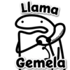 👽 Llama trina, Llama gemela 👽 10