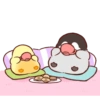 Pollito y pingüino 13