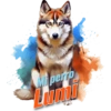 Mi perro Lumi