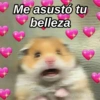 Me asustó tu
belleza
paraguayita 01