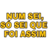 NUM SEI,
SÓ SEI QUE
FOI ASSIM