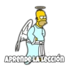 Conciencia de Homero 14
