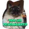 veo un
PEJELAGARTO