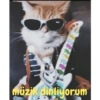 Cute cats 9