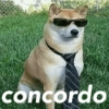 concordo