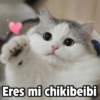 Payi
Eres mi chikibeibi