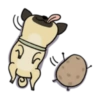 Cute dog 27