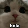 Memes pa' hablar XD 2 11