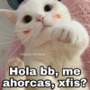 @Harley_Stickers
Hola bb, me
ahorcas, xfis?