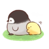 スリ