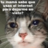 tu mamá sabe que
usas el internet
para dejarme en
visto?
Pedlondo