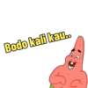 Bodo kali kau..