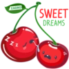 ZAGRO SWEET DREAMS Zzz ༨ པ་