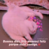 Gatitos Anti-depresivos Vol.1 19
