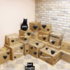 Cats hearts 11