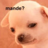mande?