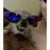 Memes 27