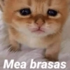 Mea brasas