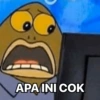 APA INI COK
