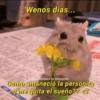 Wenos dias... @Cursismood en Instagram Como amaneció la personita q me quita el sueño?? <3