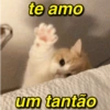 te amo um tantão