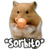 ️ MEMES Random 4.0 21